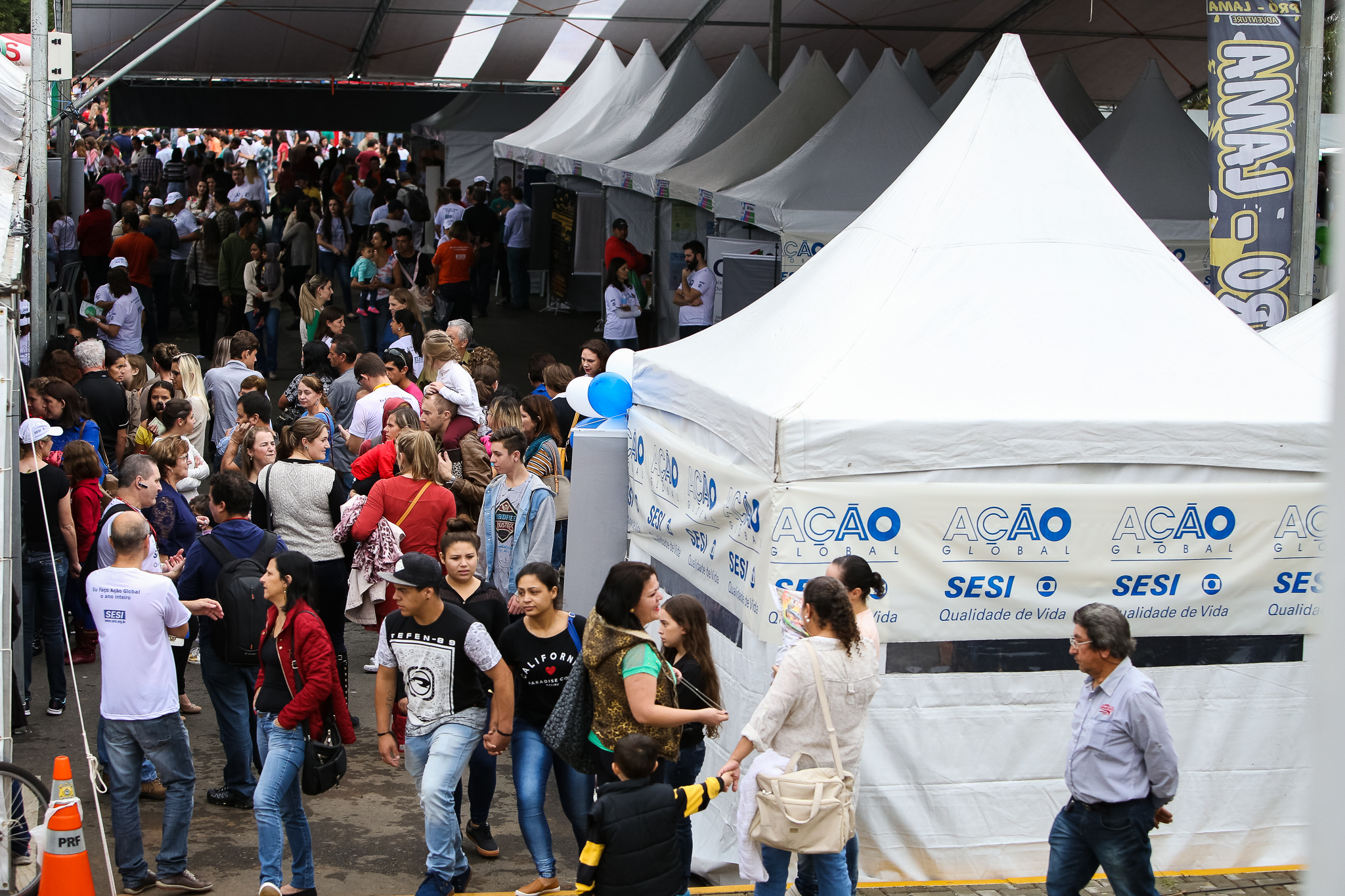 Imagem 3940 no node 6049