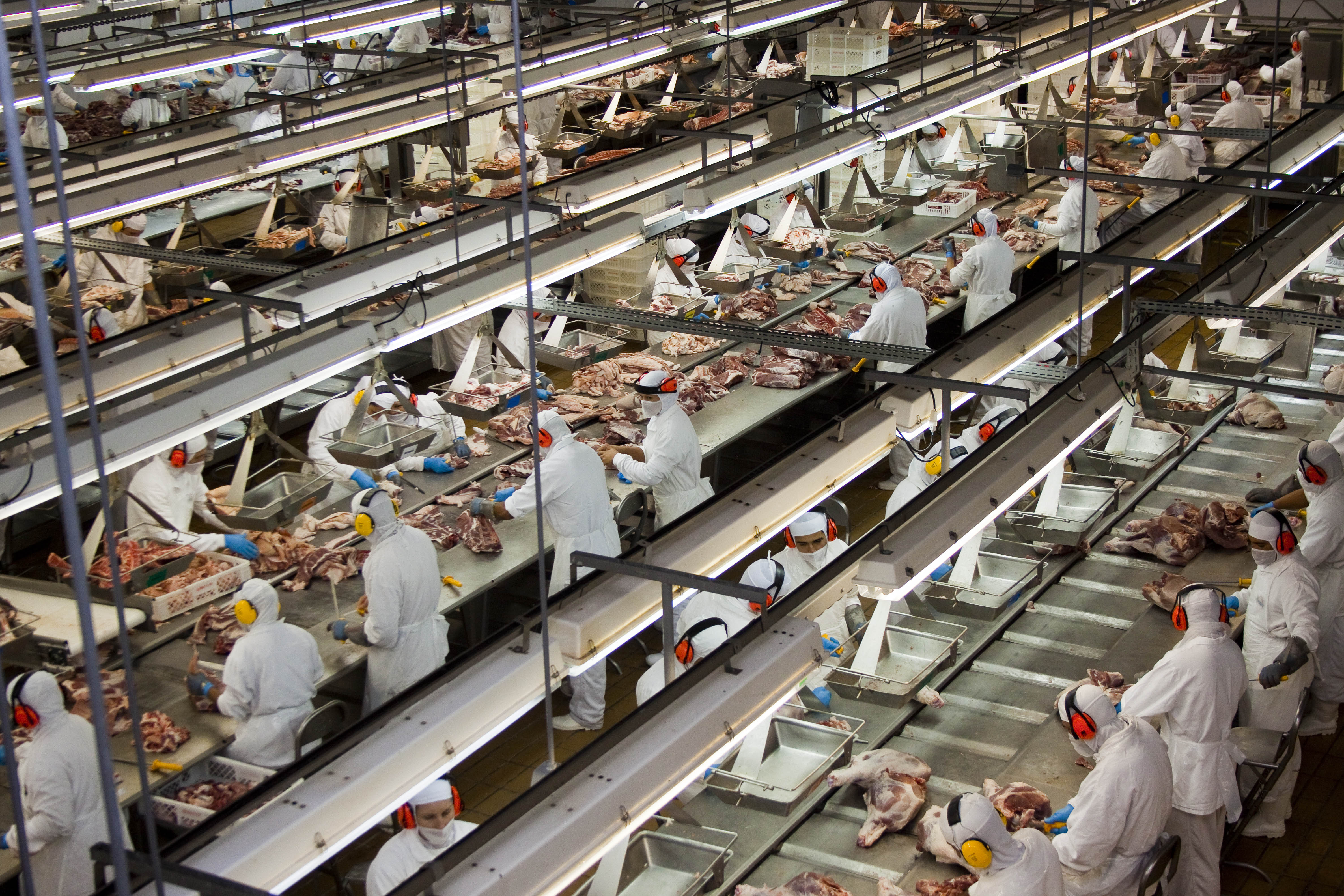 Imagem 915 no node 2619