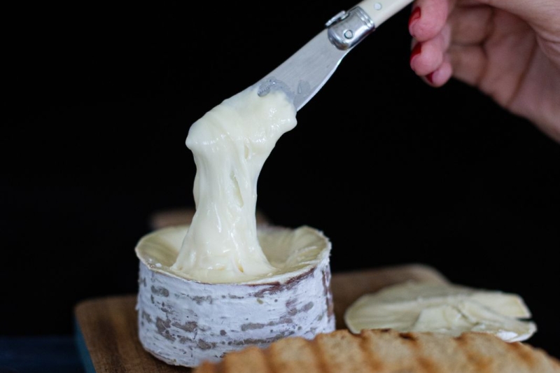 Queijo criado pela Pomerode Alimentos é suave e cremoso, livre de lactose. Foto: Divulgação
