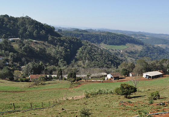 100% de SC está no bioma Mata Atlântica